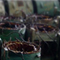 Adjudicación de emergencia de 389 estatores